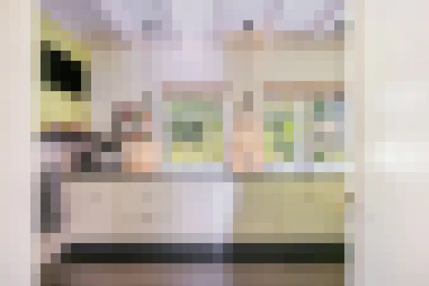 Oude Larenseweg 1 Epse thumbnail 29
