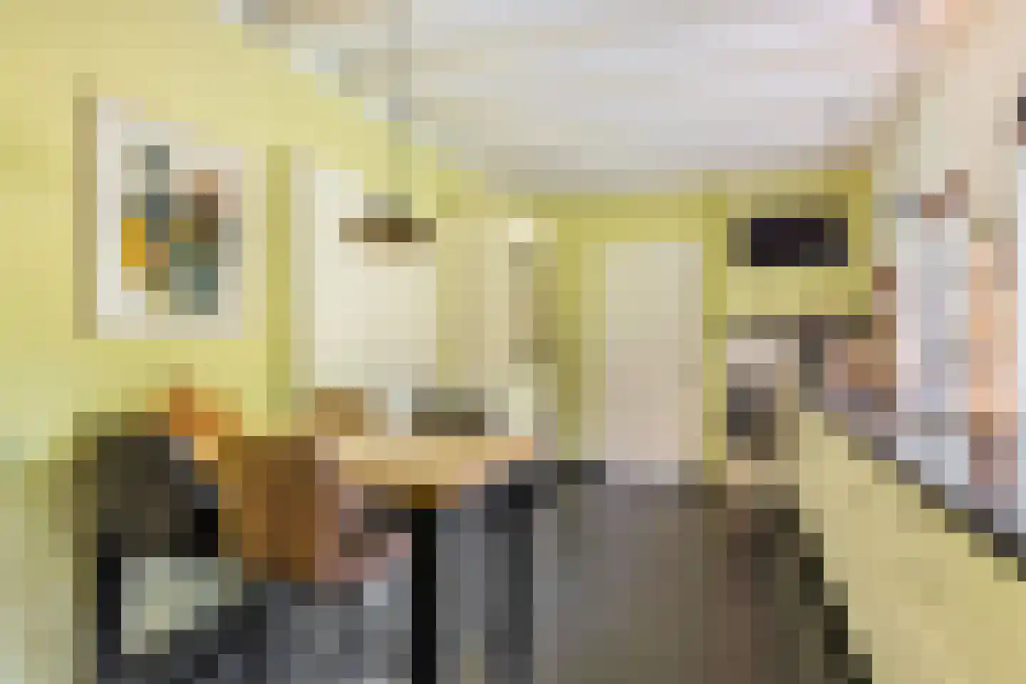 Oude Larenseweg 1 Epse thumbnail 32