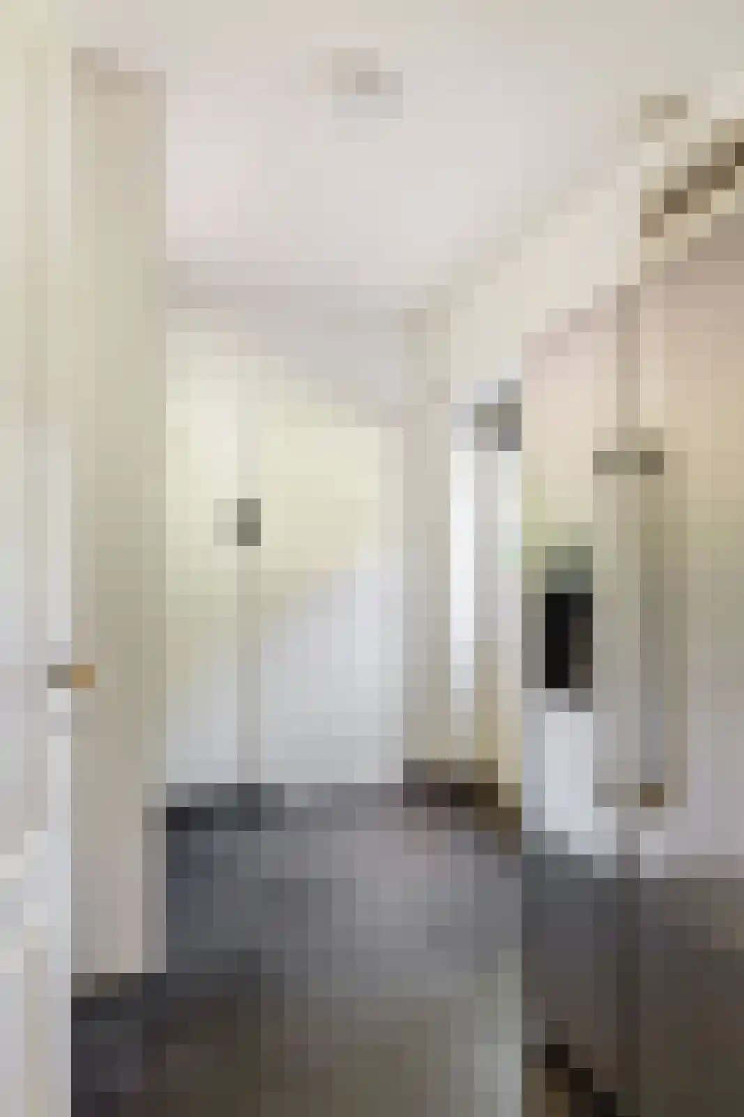 Oude Larenseweg 1 Epse thumbnail 33