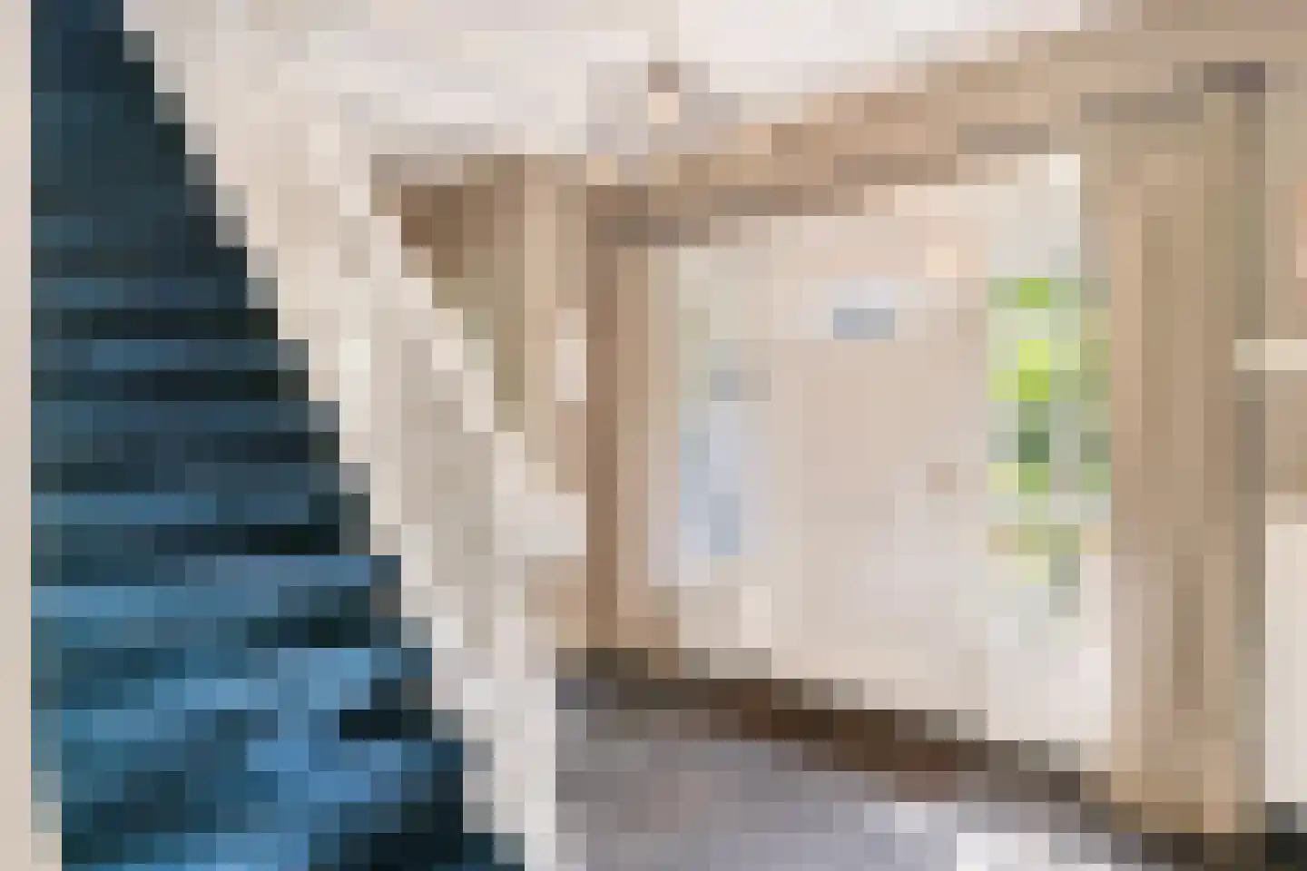 Oude Larenseweg 1 Epse thumbnail 34