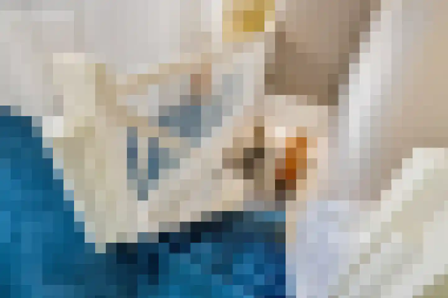 Oude Larenseweg 1 Epse thumbnail 36