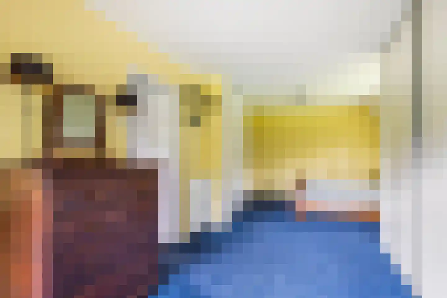 Oude Larenseweg 1 Epse thumbnail 42