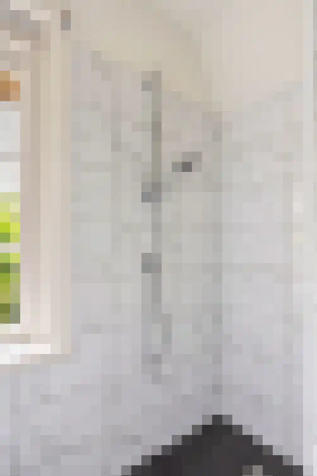 Oude Larenseweg 1 Epse thumbnail 44