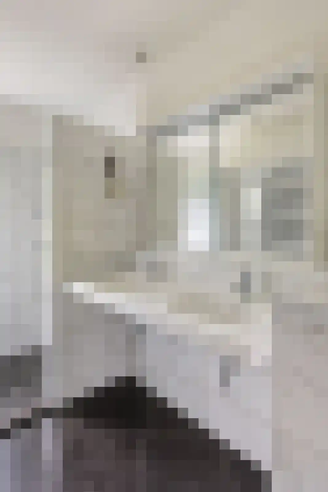 Oude Larenseweg 1 Epse thumbnail 45