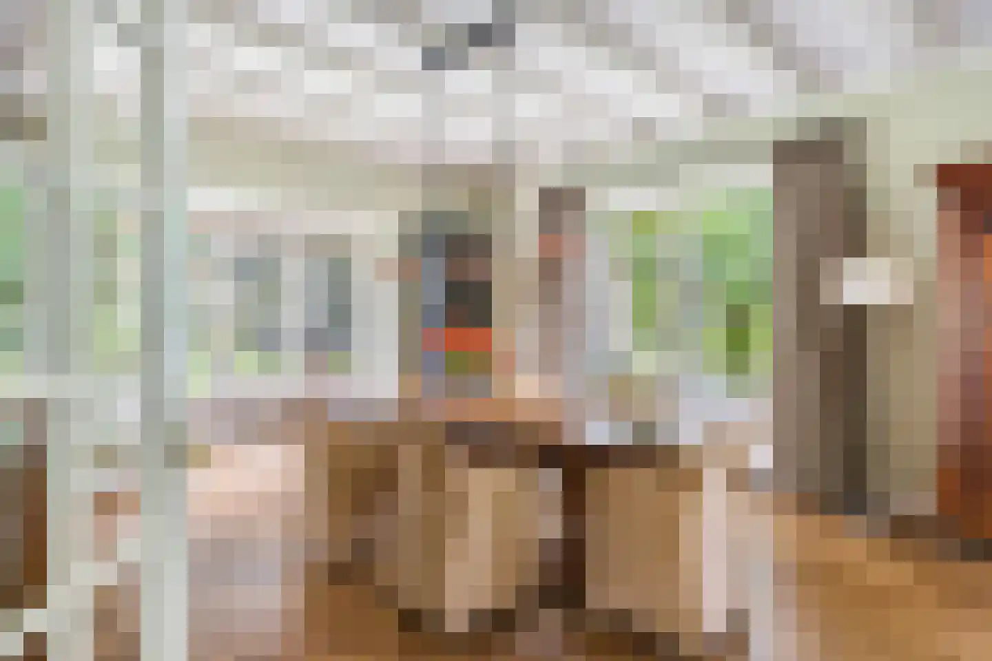 Oude Larenseweg 1 Epse thumbnail 5