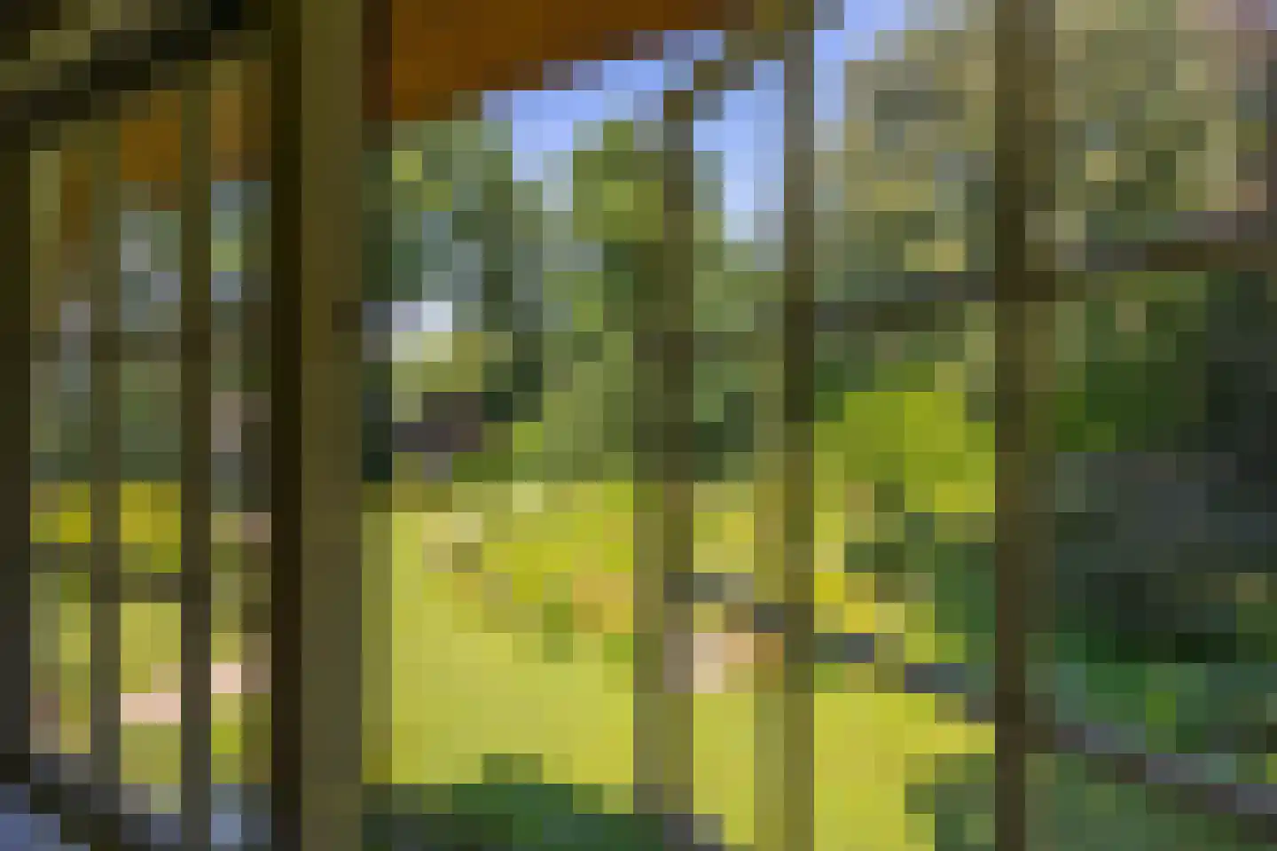 Oude Larenseweg 1 Epse thumbnail 60