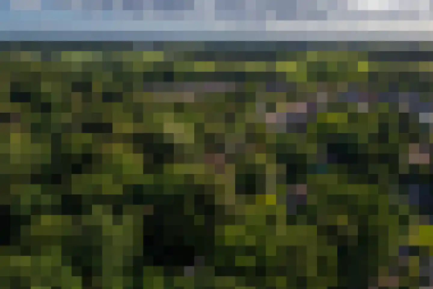 Oude Larenseweg 1 Epse thumbnail 65