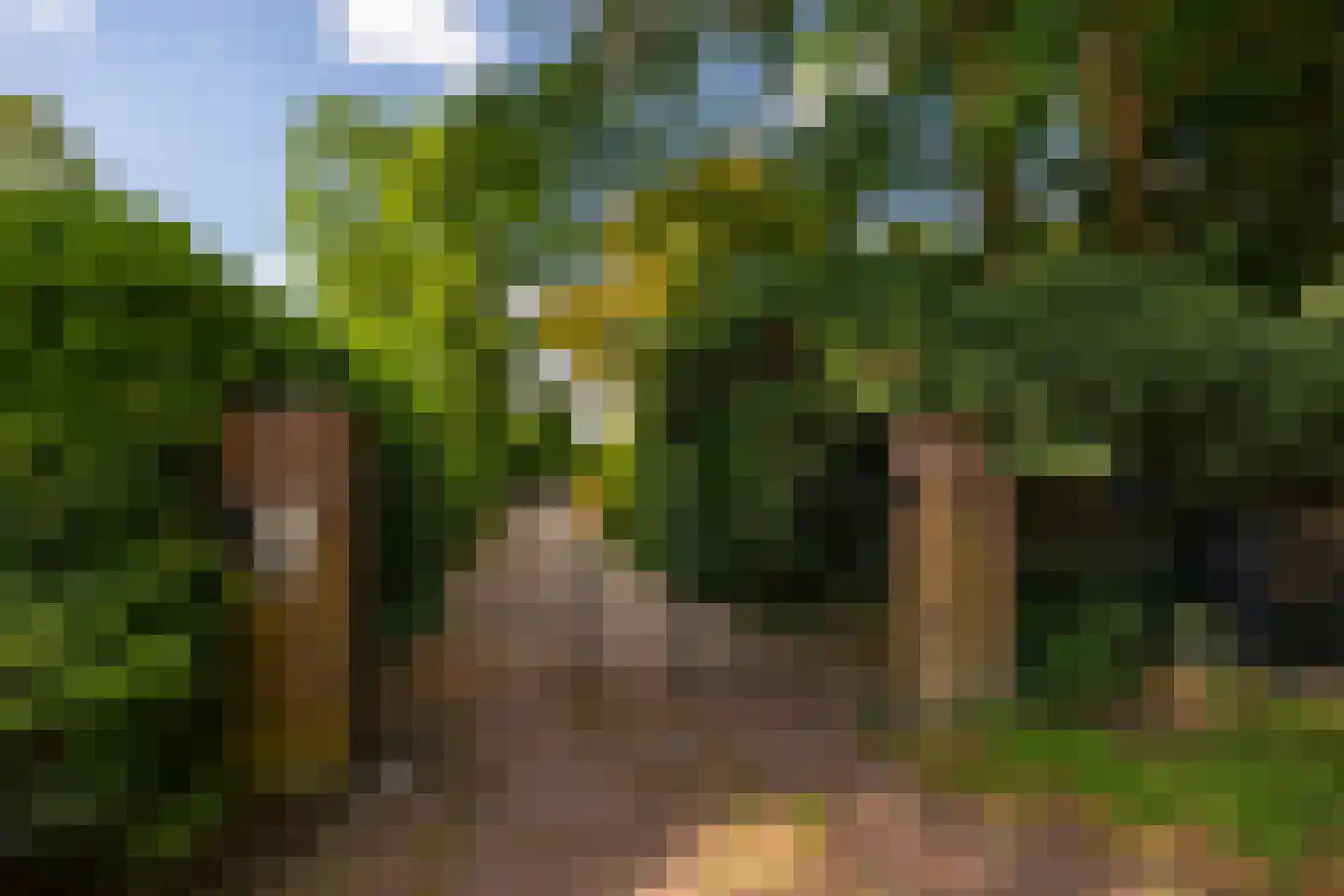 Oude Larenseweg 1 Epse thumbnail 66