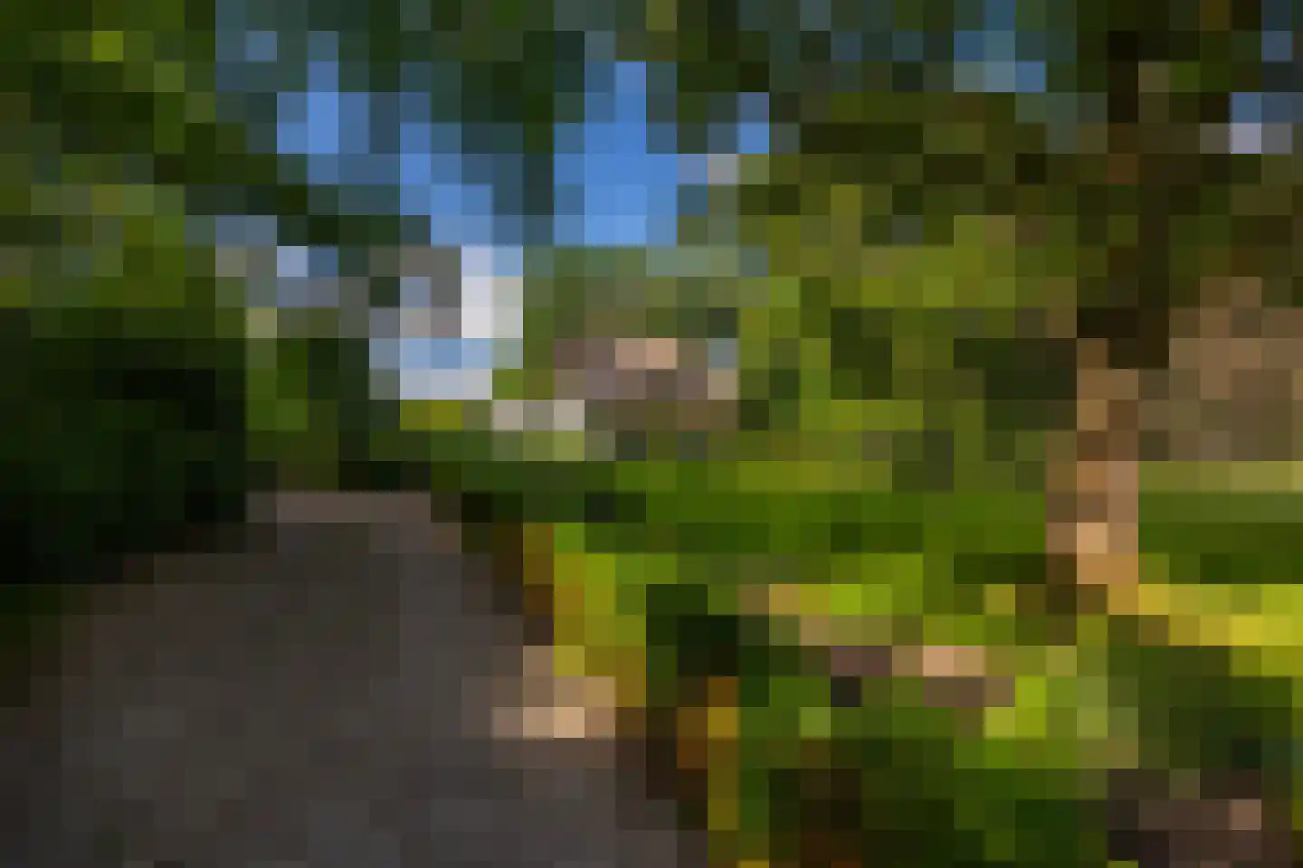 Oude Larenseweg 1 Epse thumbnail 67
