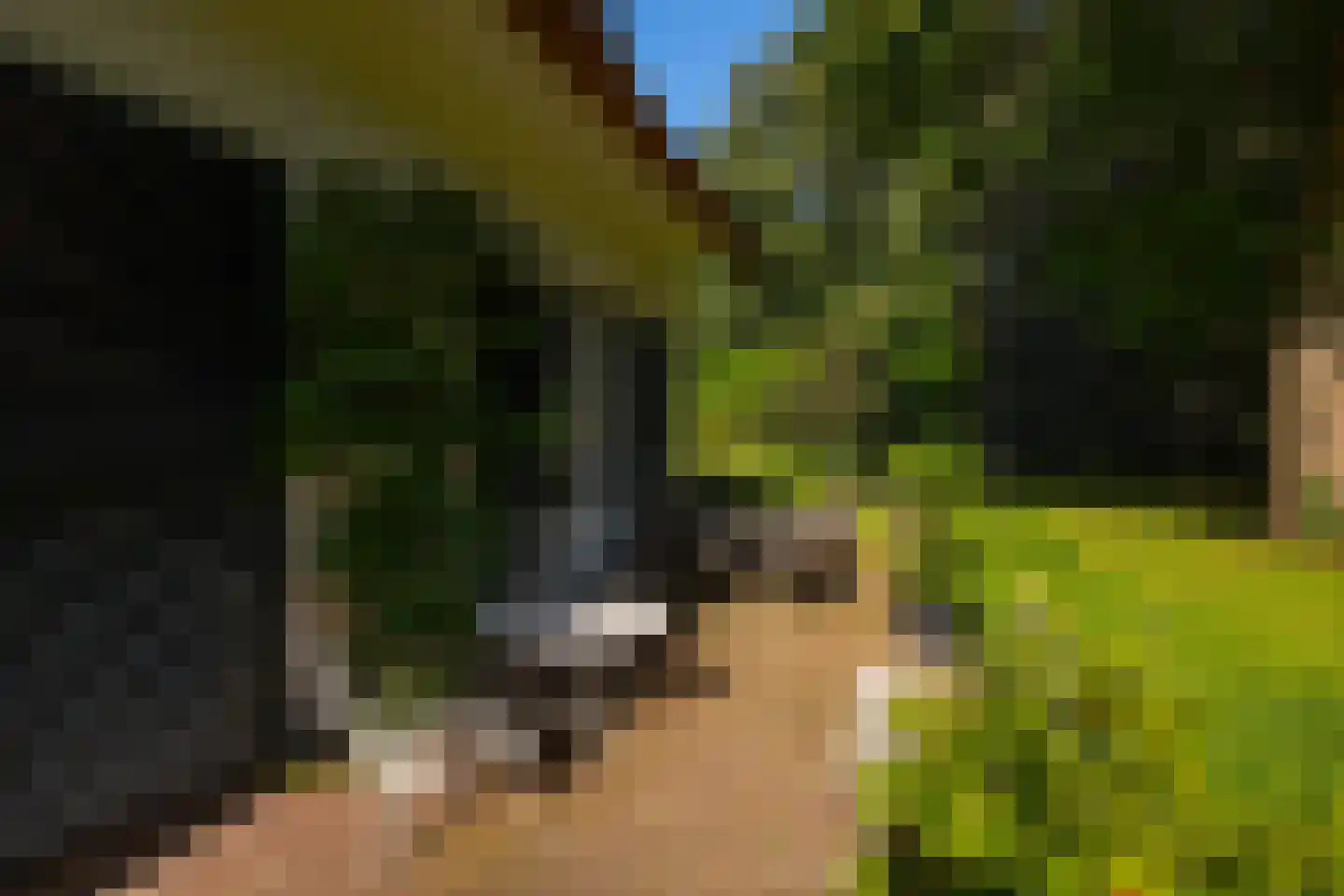Oude Larenseweg 1 Epse thumbnail 71
