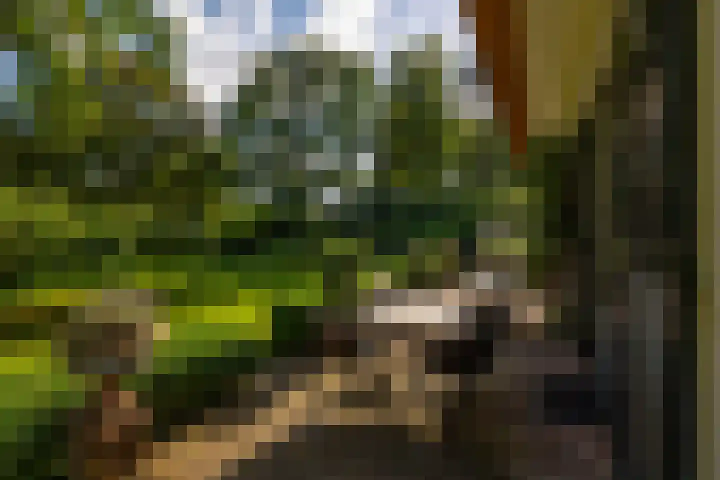 Oude Larenseweg 1 Epse thumbnail 72