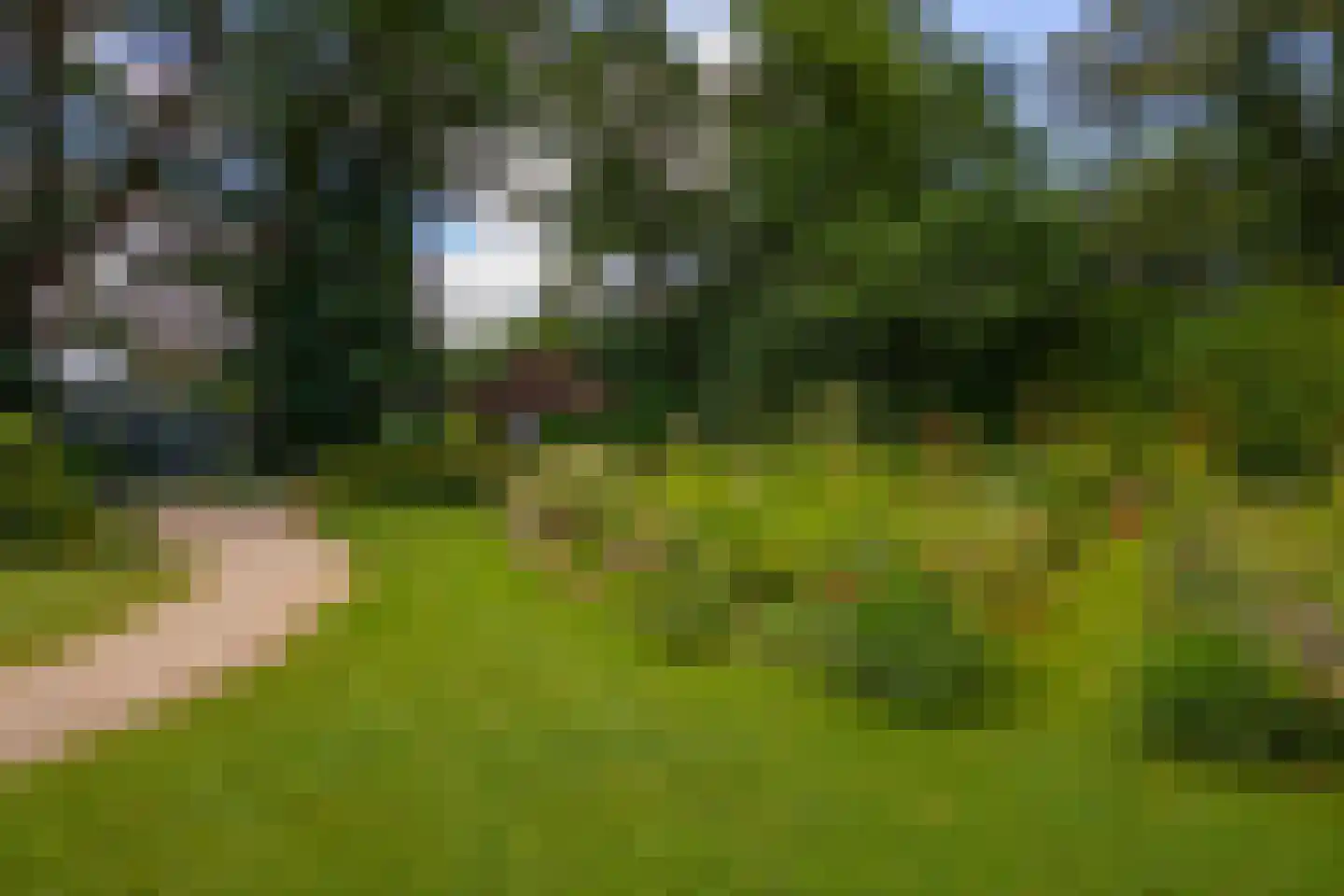 Oude Larenseweg 1 Epse thumbnail 75