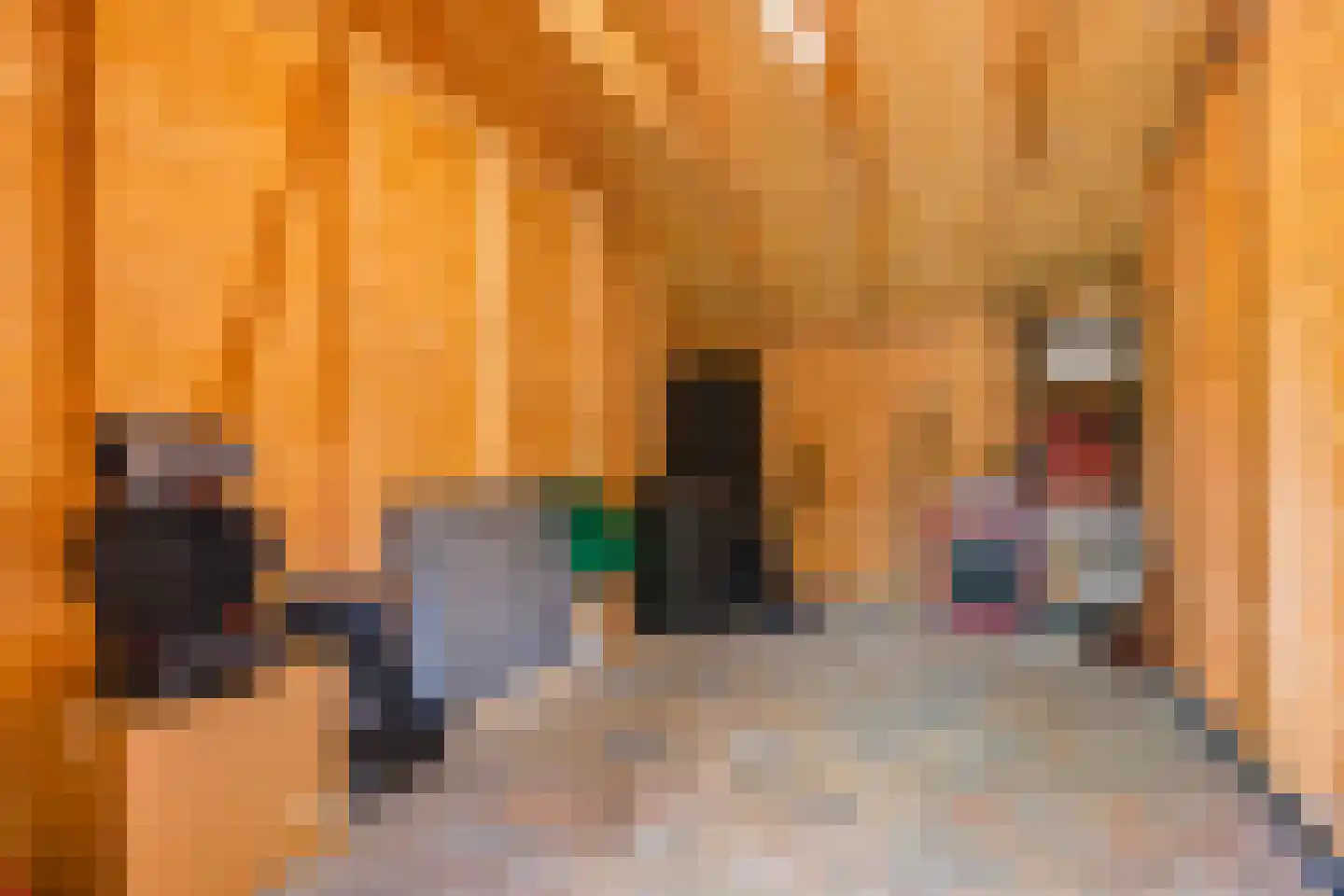 Oude Larenseweg 1 Epse thumbnail 77