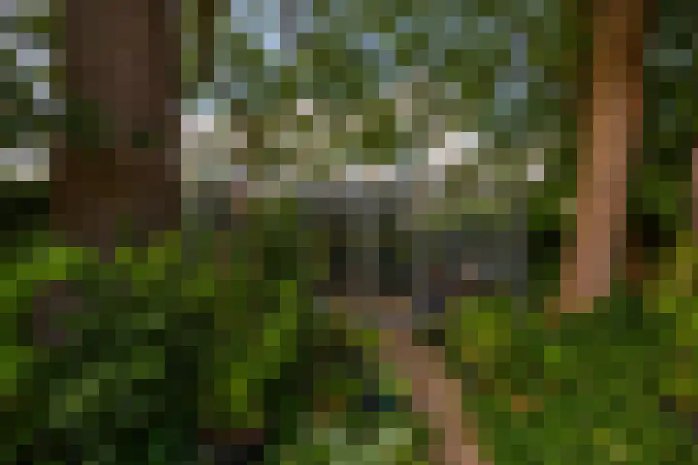 Oude Larenseweg 1 Epse thumbnail 78