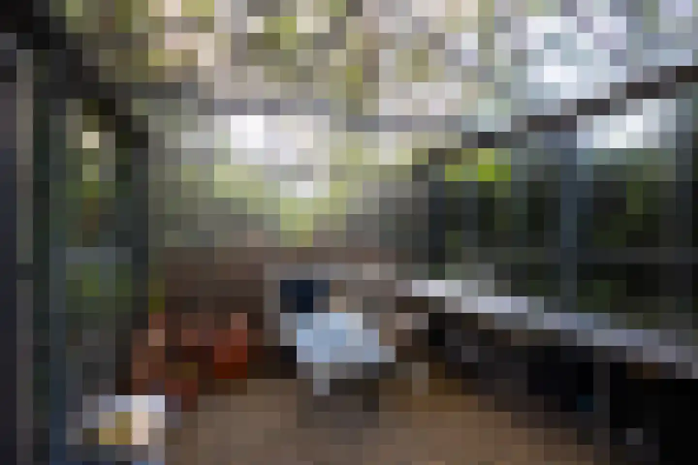 Oude Larenseweg 1 Epse thumbnail 79
