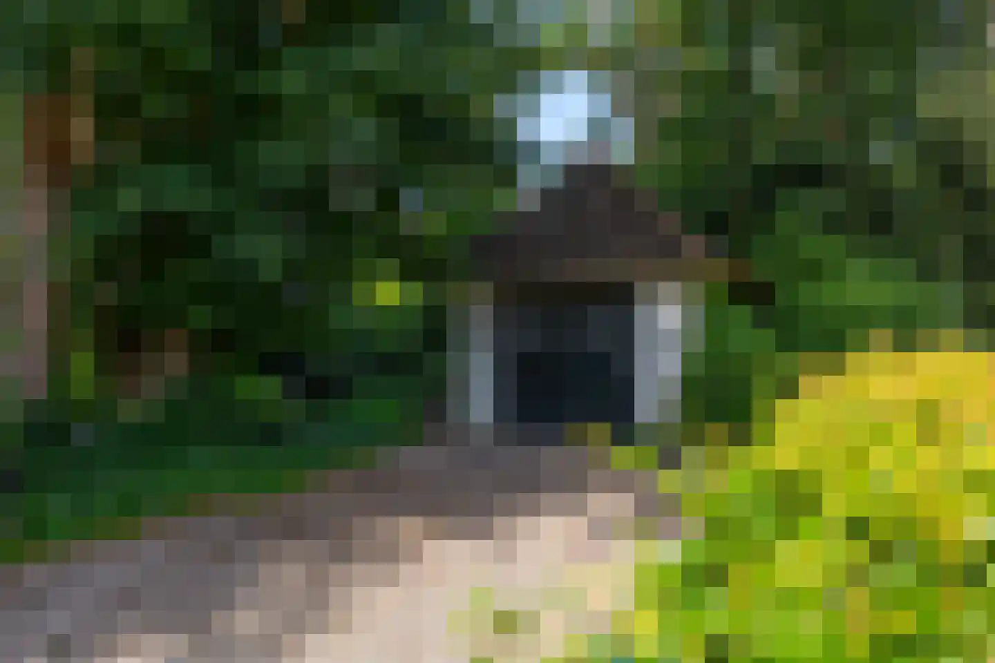 Oude Larenseweg 1 Epse thumbnail 80