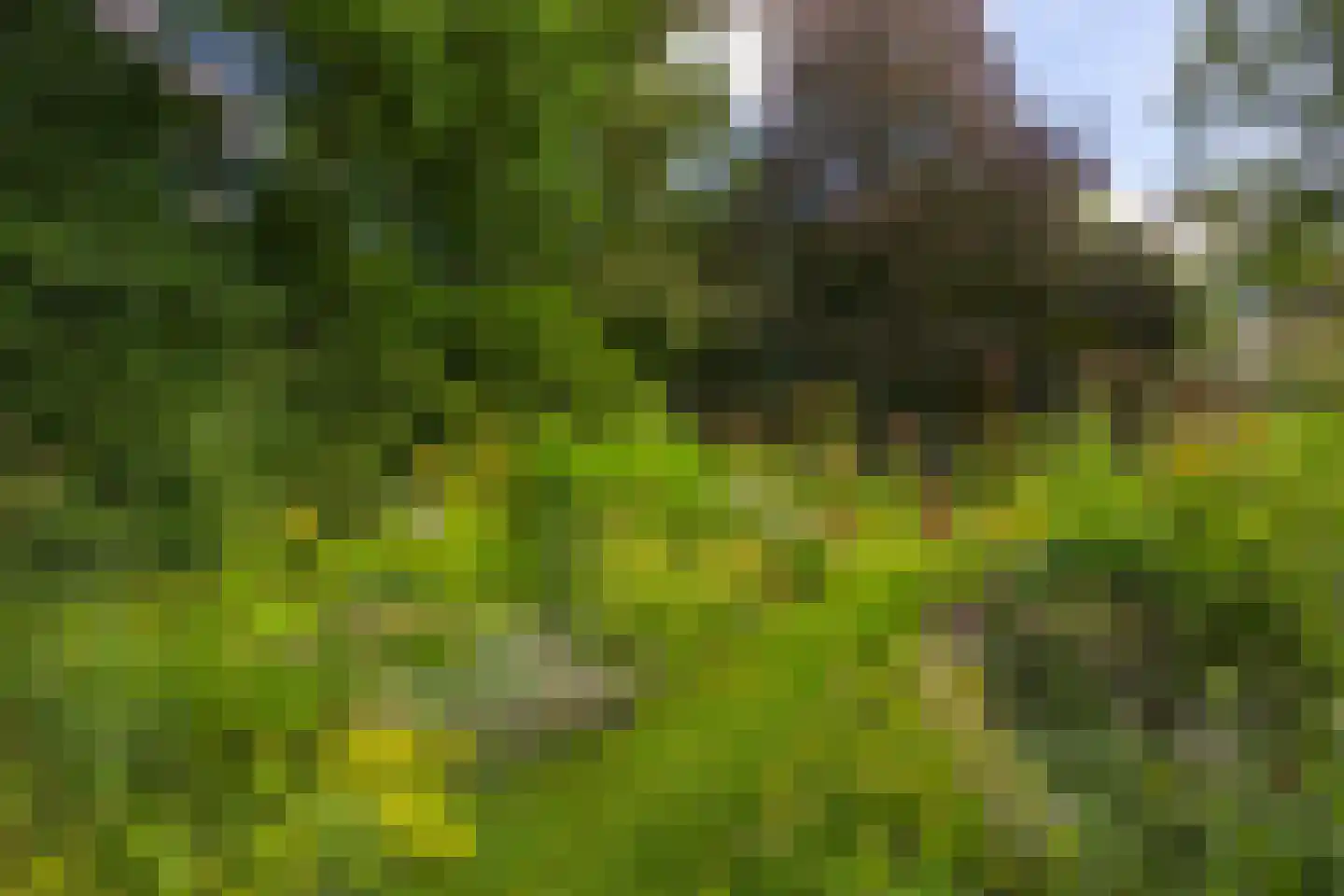 Oude Larenseweg 1 Epse thumbnail 81