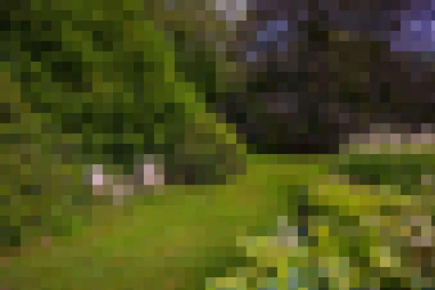 Oude Larenseweg 1 Epse thumbnail 82
