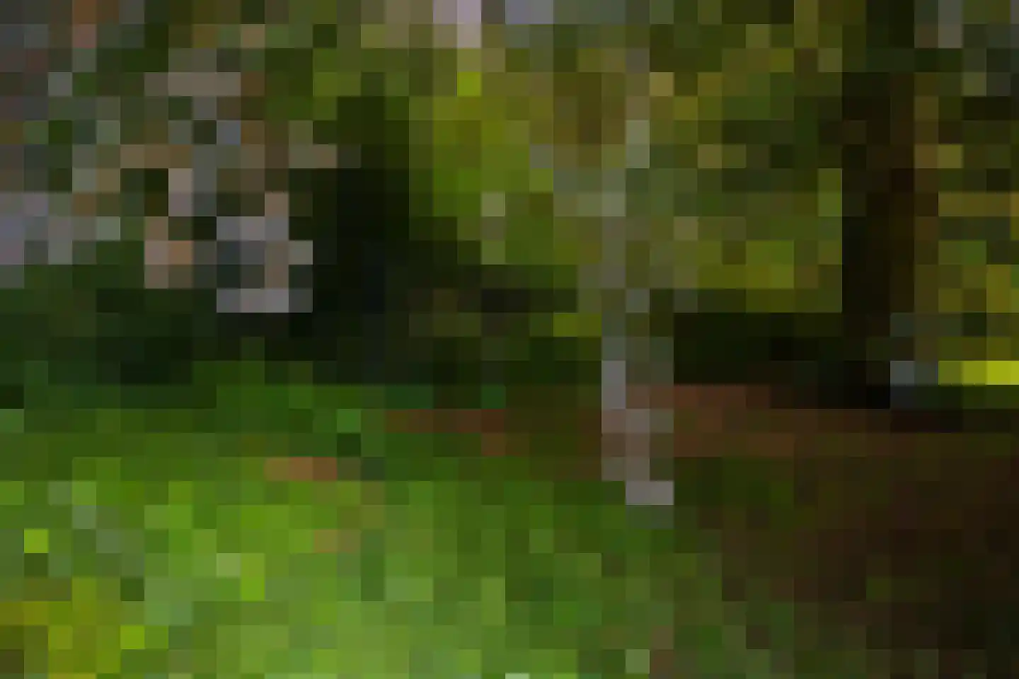 Oude Larenseweg 1 Epse thumbnail 83
