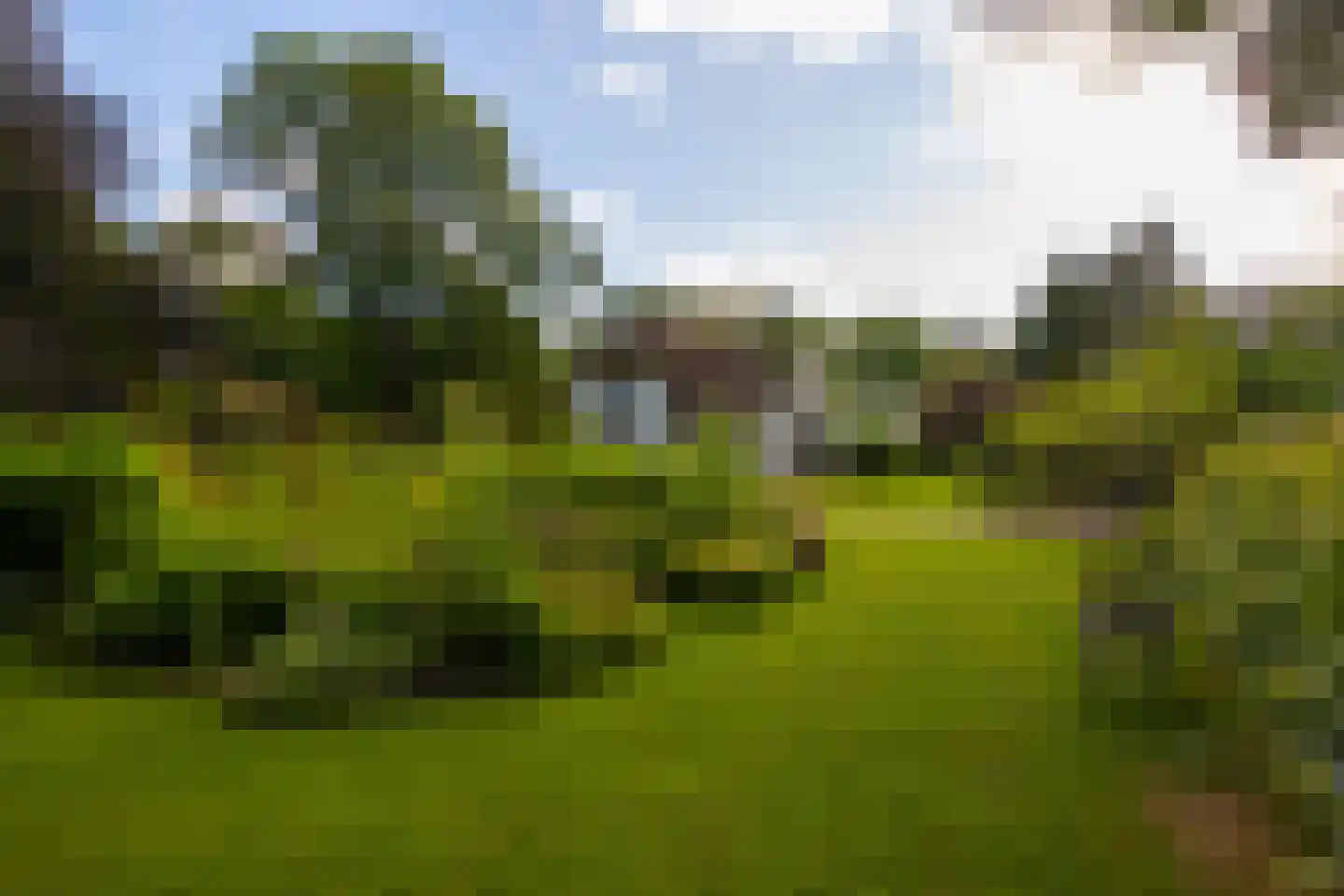 Oude Larenseweg 1 Epse thumbnail 84