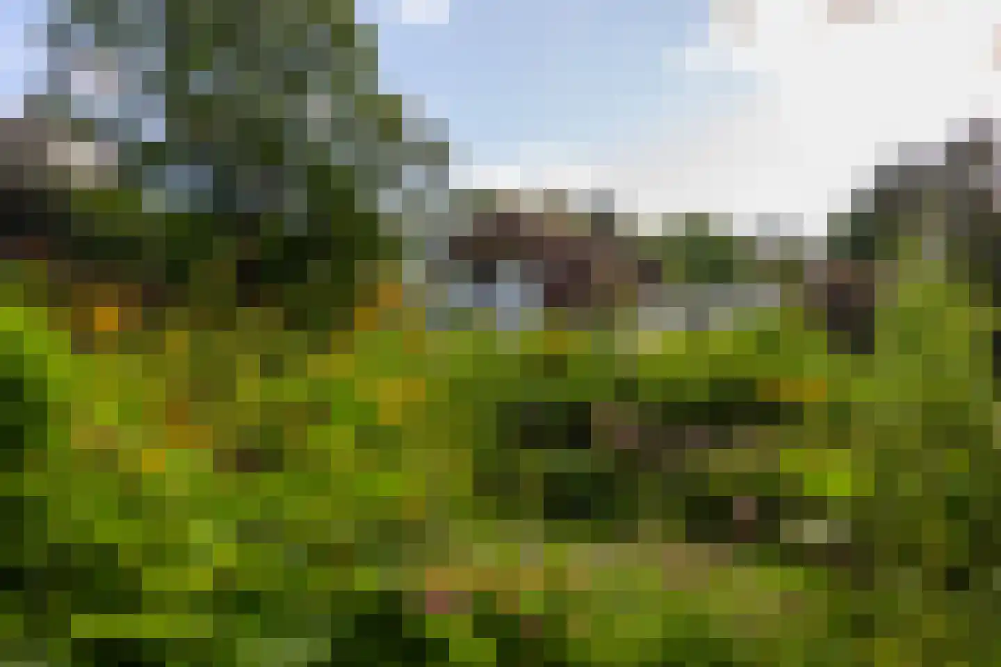 Oude Larenseweg 1 Epse thumbnail 85