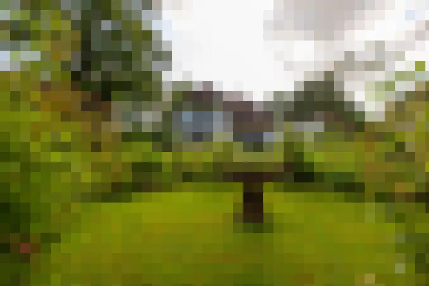 Oude Larenseweg 1 Epse thumbnail 86