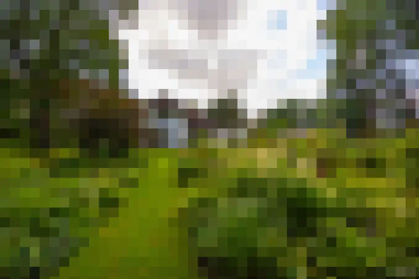 Oude Larenseweg 1 Epse thumbnail 87
