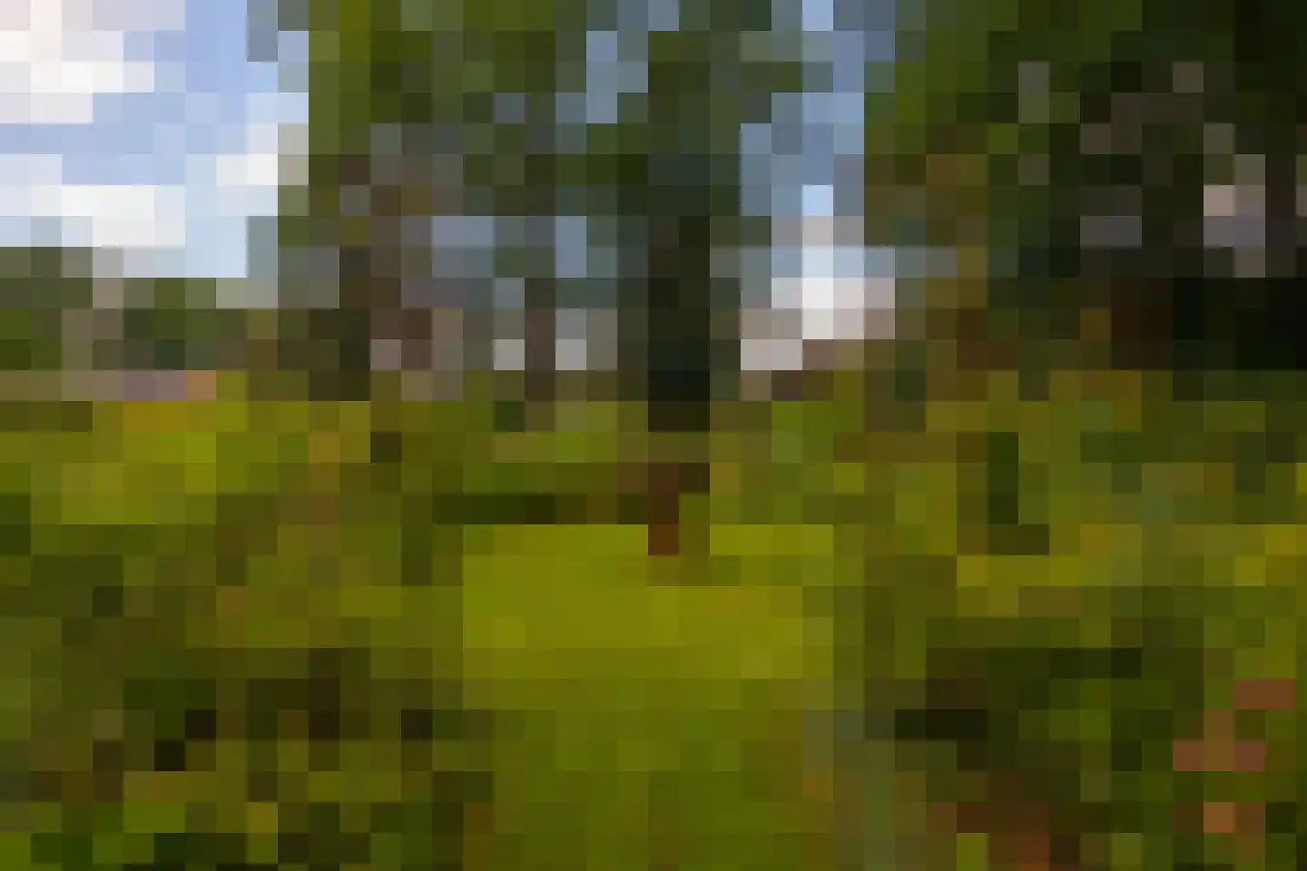 Oude Larenseweg 1 Epse thumbnail 88