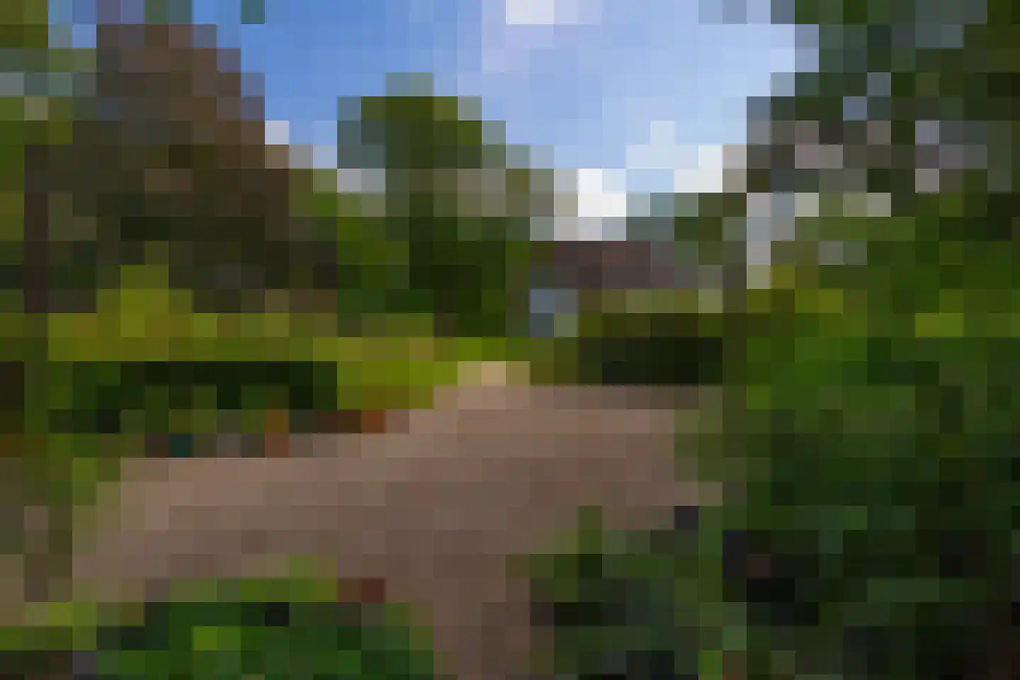 Oude Larenseweg 1 Epse thumbnail 89
