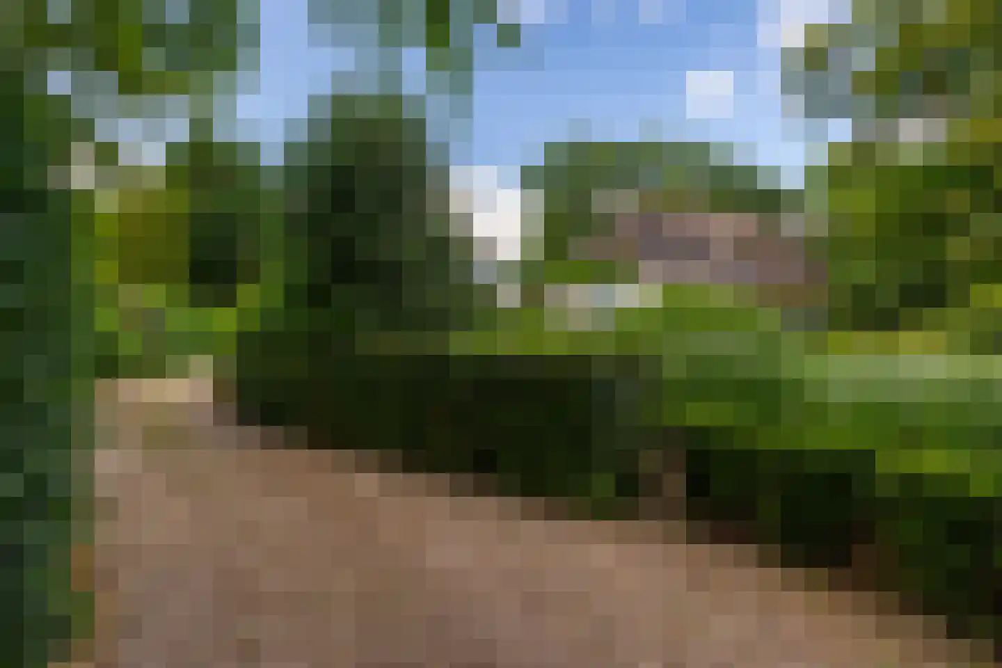 Oude Larenseweg 1 Epse thumbnail 90