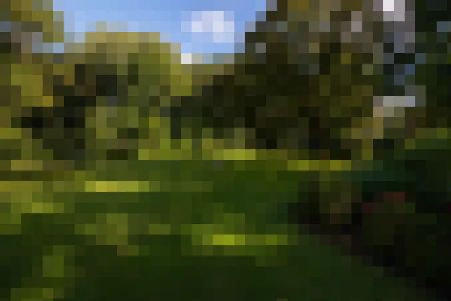 Oude Larenseweg 1 Epse thumbnail 91