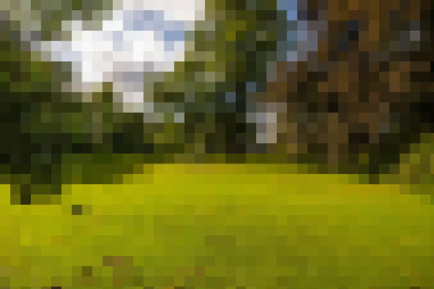 Oude Larenseweg 1 Epse thumbnail 93