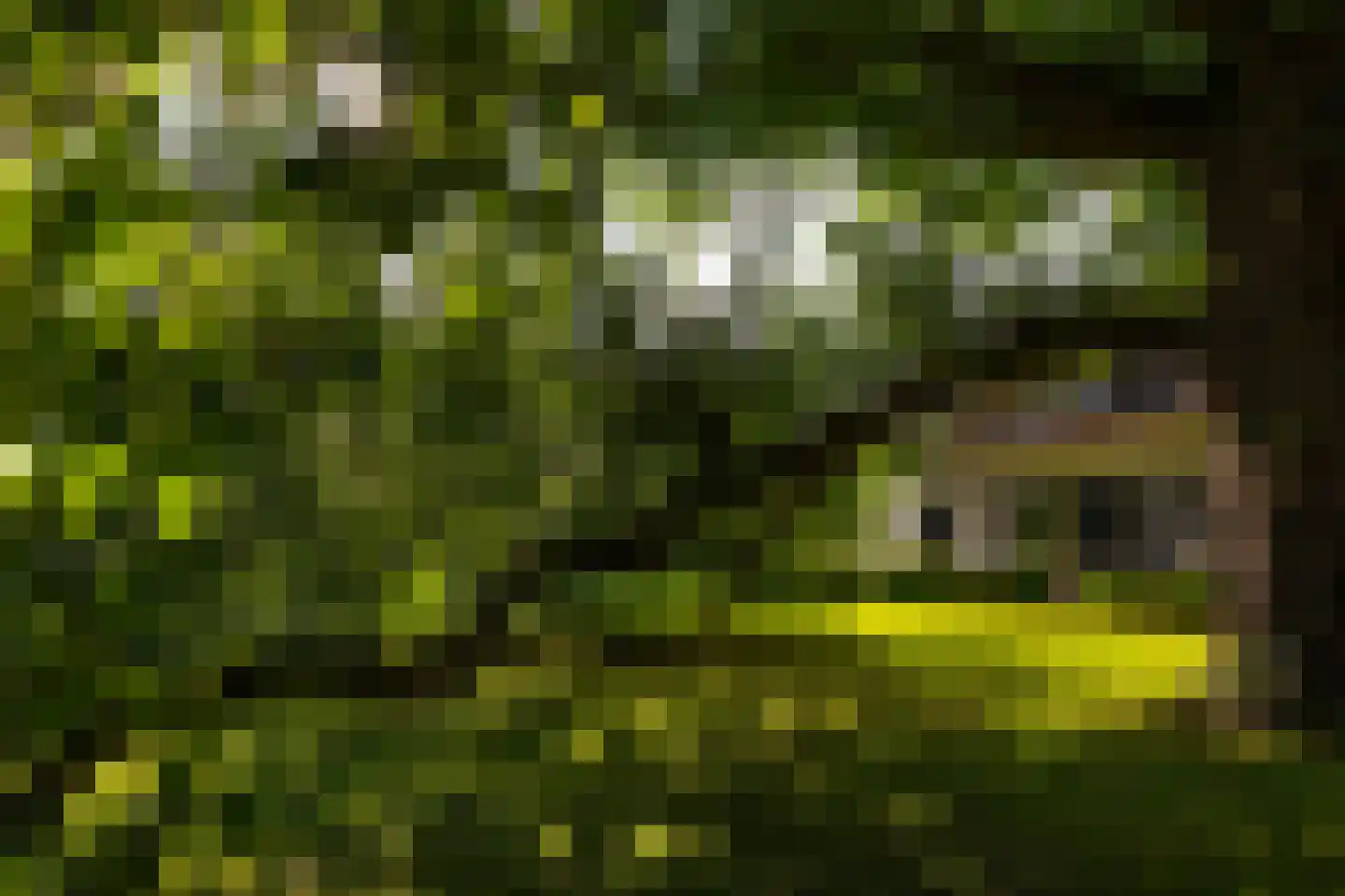 Oude Larenseweg 1 Epse thumbnail 95