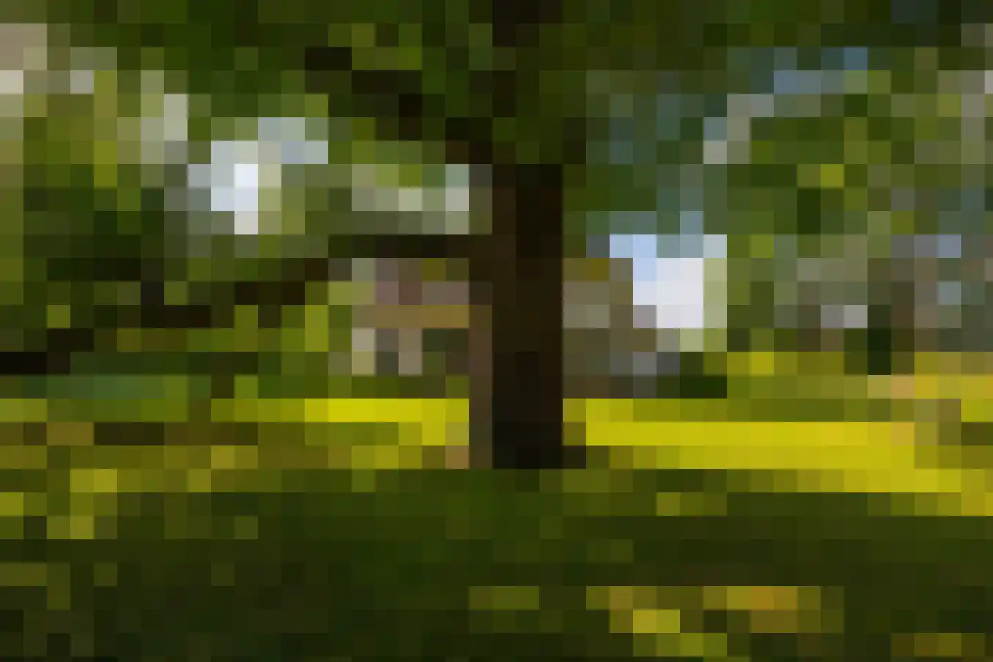 Oude Larenseweg 1 Epse thumbnail 96