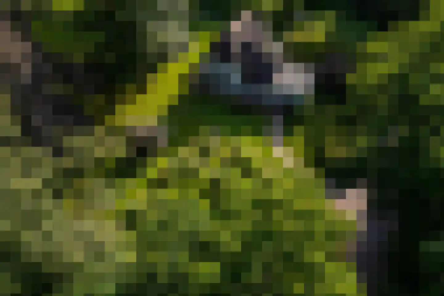 Oude Larenseweg 1 Epse thumbnail 97