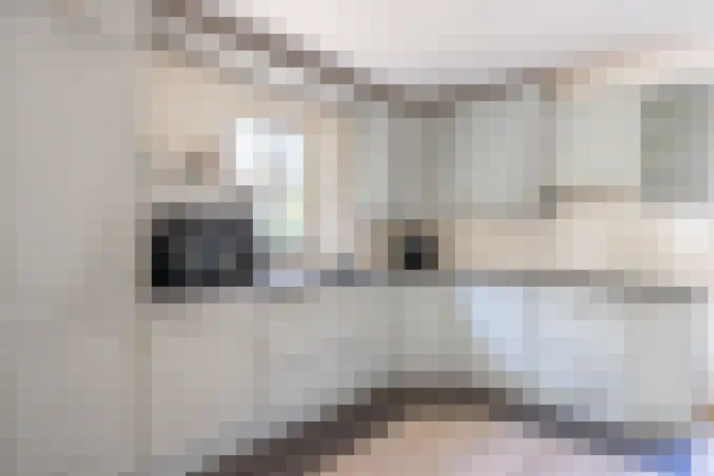 Oude Larenseweg 13 a Epse thumbnail 14