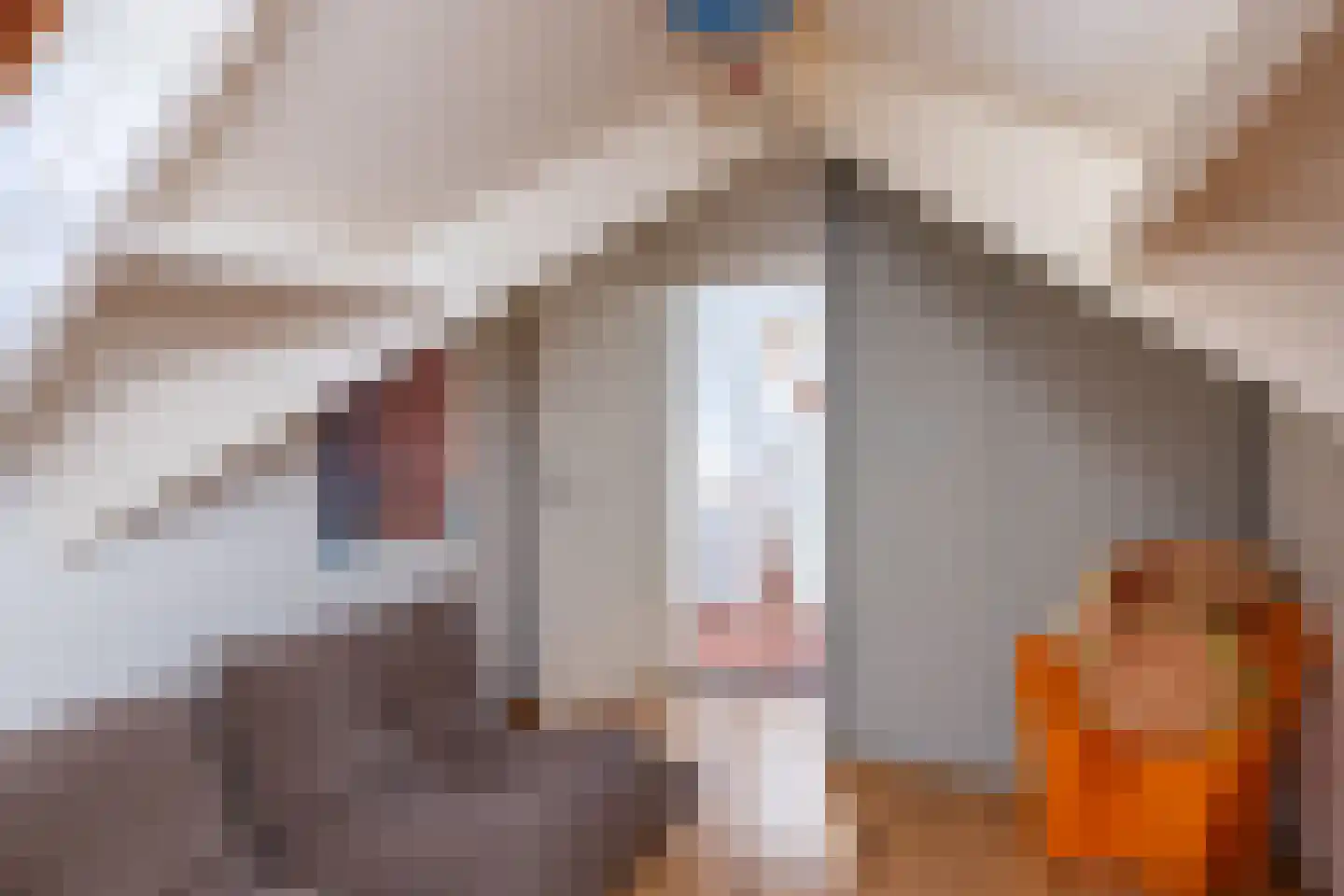 Oude Larenseweg 13 a Epse thumbnail 24