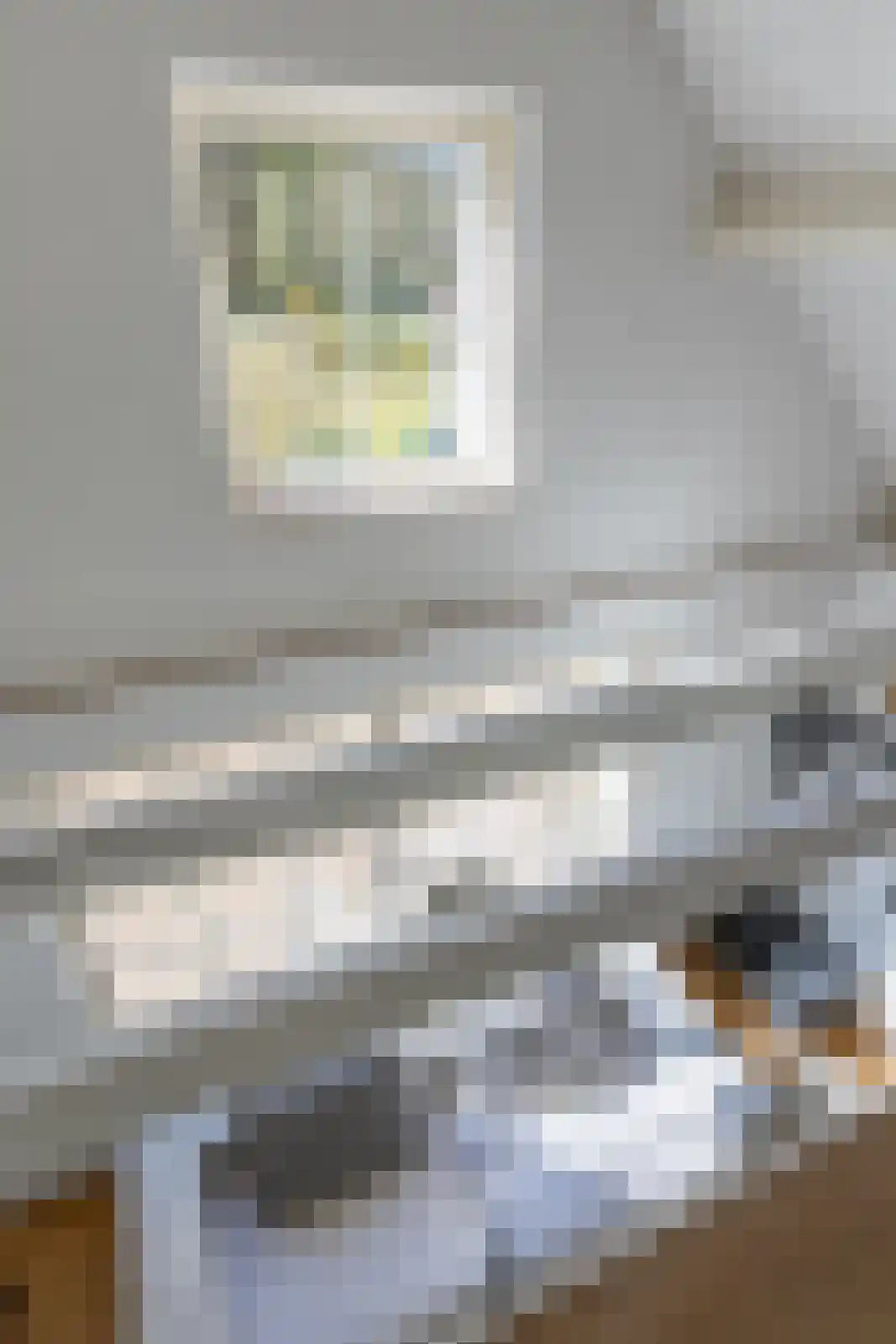 Oude Larenseweg 13 a Epse thumbnail 38