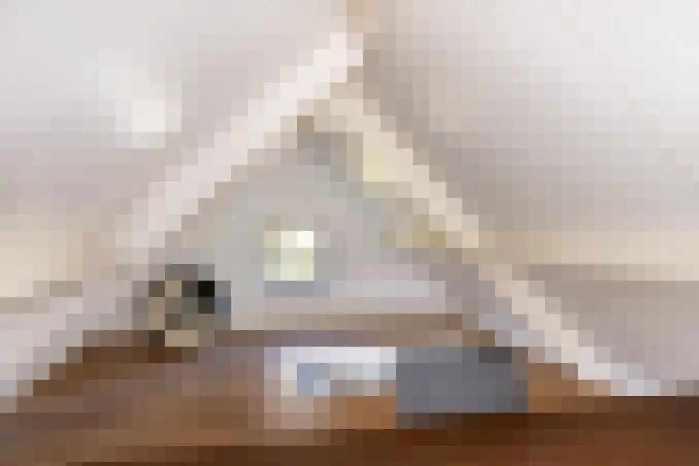 Oude Larenseweg 13 a Epse thumbnail 40