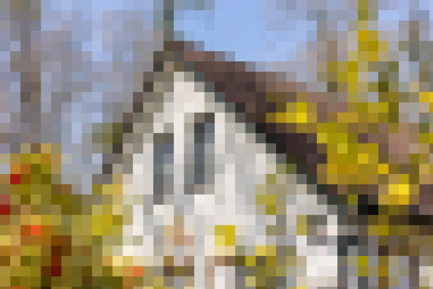 Oude Larenseweg 13 a Epse thumbnail 41