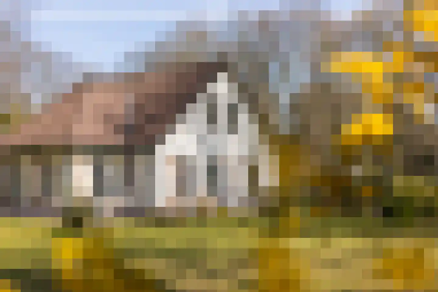 Oude Larenseweg 13 a Epse thumbnail 42