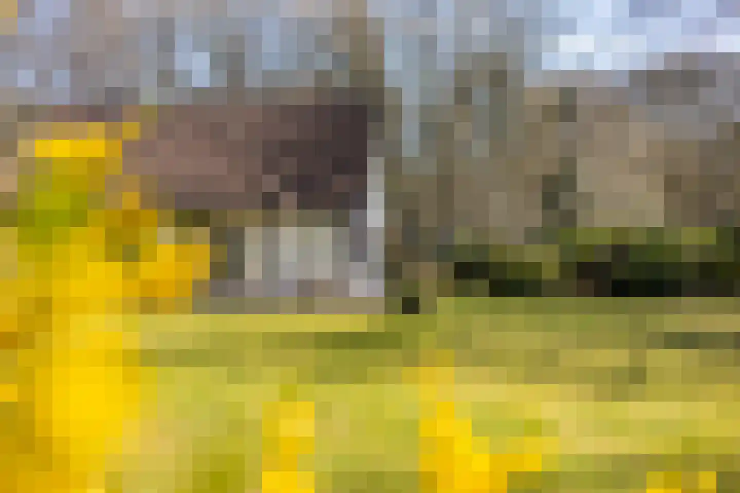 Oude Larenseweg 13 a Epse thumbnail 43