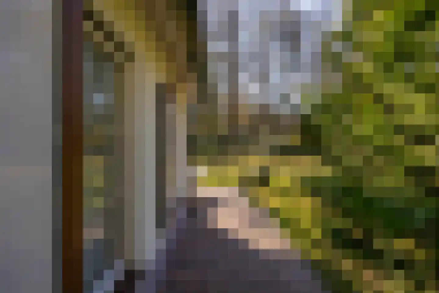 Oude Larenseweg 13 a Epse thumbnail 44
