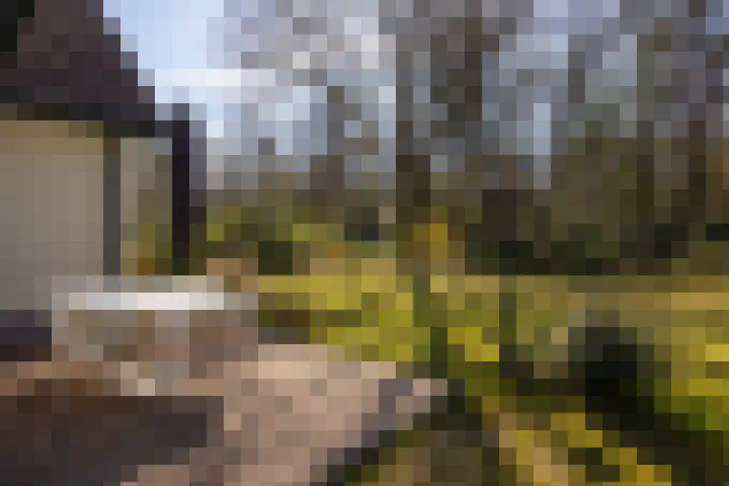 Oude Larenseweg 13 a Epse thumbnail 45