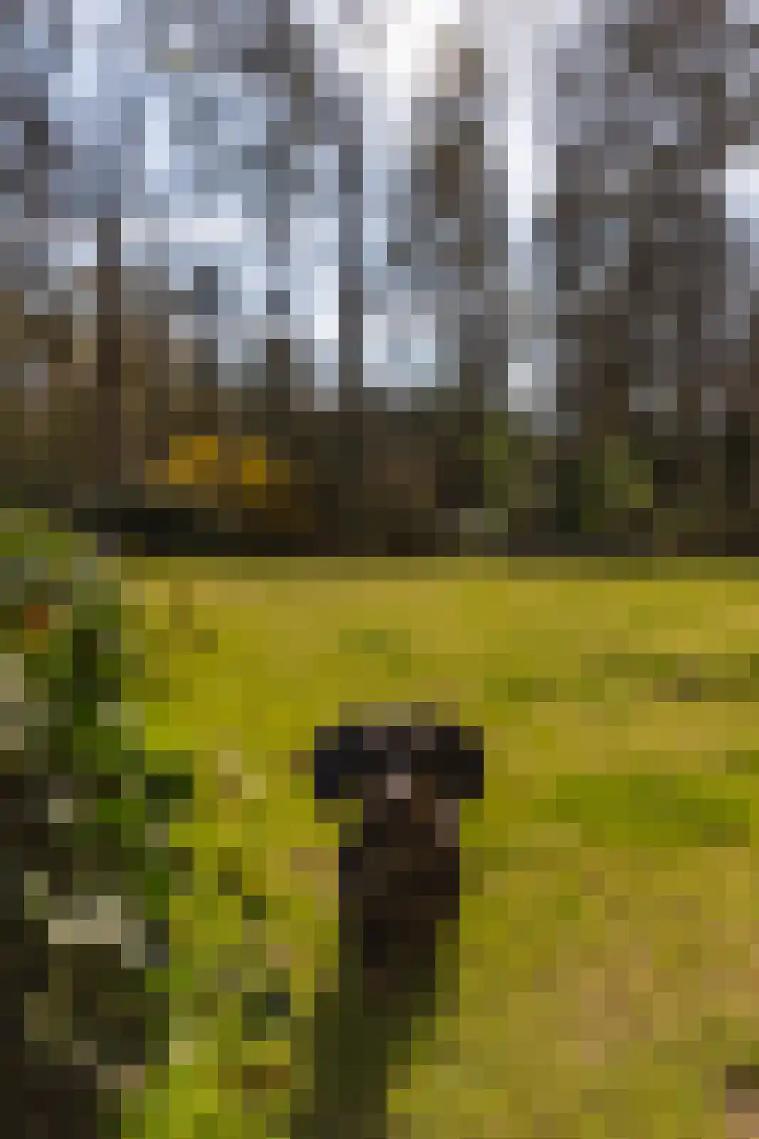 Oude Larenseweg 13 a Epse thumbnail 47