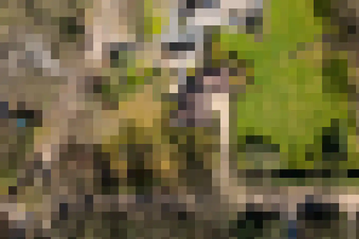 Oude Larenseweg 13 a Epse thumbnail 50