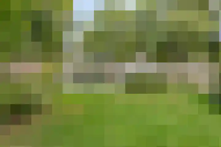 Oude Larenseweg 24 in Epse