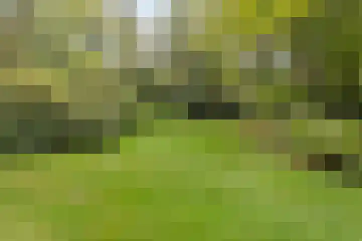 Oude Larenseweg 24 Epse thumbnail 12