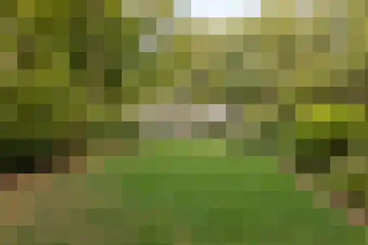 Oude Larenseweg 24 Epse thumbnail 13