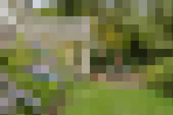 Oude Larenseweg 24 Epse thumbnail 14